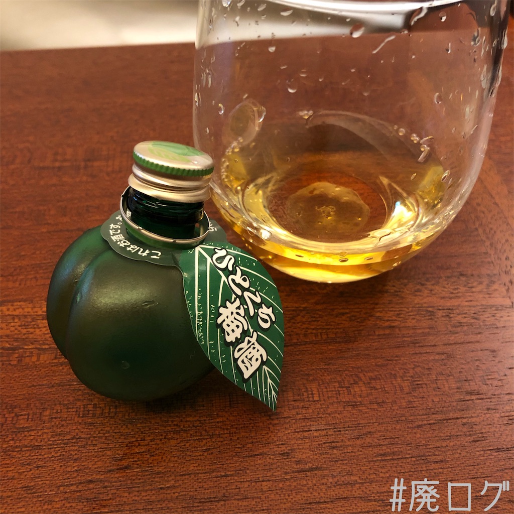 f:id:hiyapa:20191022225100j:image
