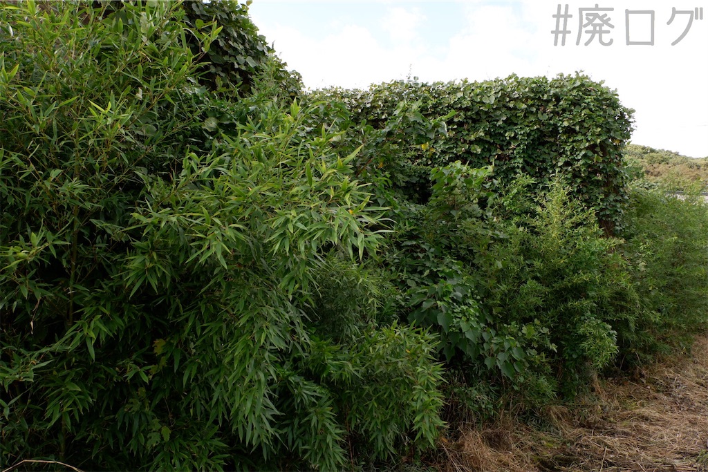 f:id:hiyapa:20191101231819j:image f:id:hiyapa:20191101231819j:image