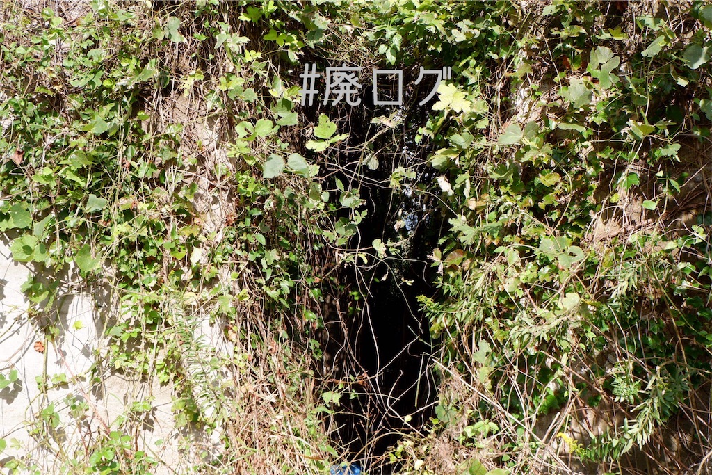 f:id:hiyapa:20191101231826j:image f:id:hiyapa:20191101231826j:image