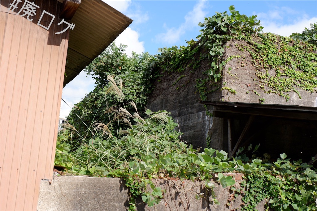 f:id:hiyapa:20191101231830j:image f:id:hiyapa:20191101231830j:image