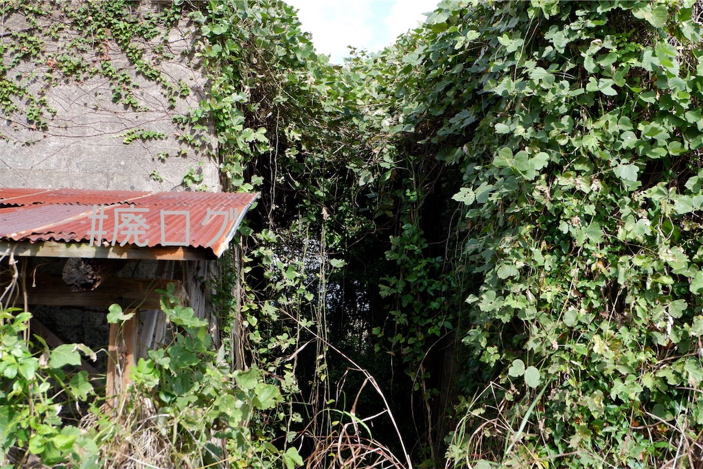 f:id:hiyapa:20191101231832j:image f:id:hiyapa:20191101231832j:image