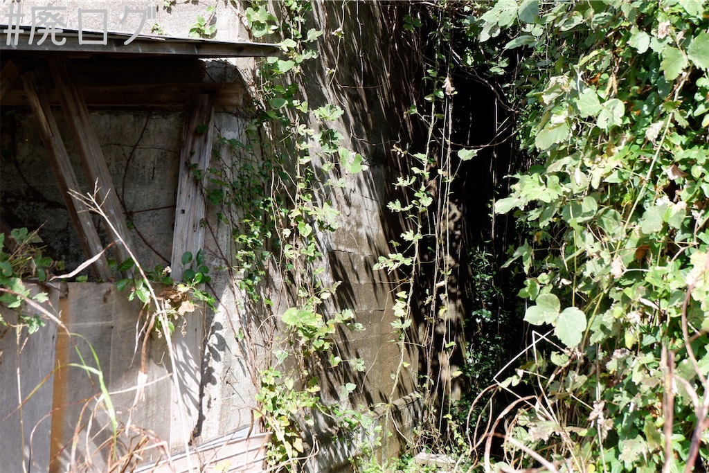 f:id:hiyapa:20191101231840j:image f:id:hiyapa:20191101231840j:image