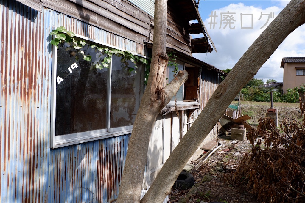 f:id:hiyapa:20191101232013j:image f:id:hiyapa:20191101232013j:image