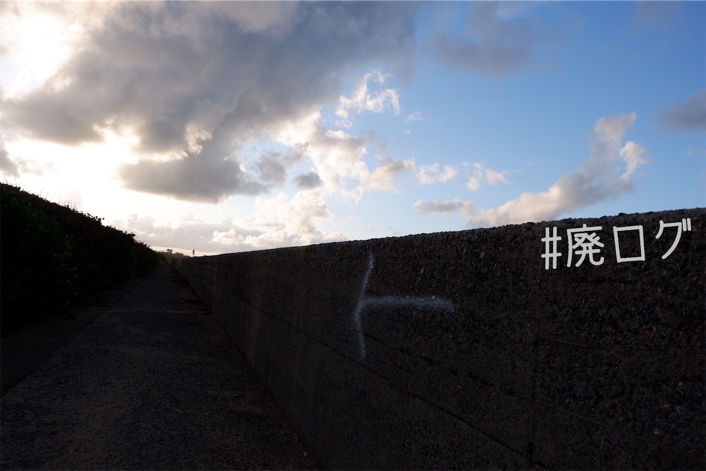 f:id:hiyapa:20191110200939j:image