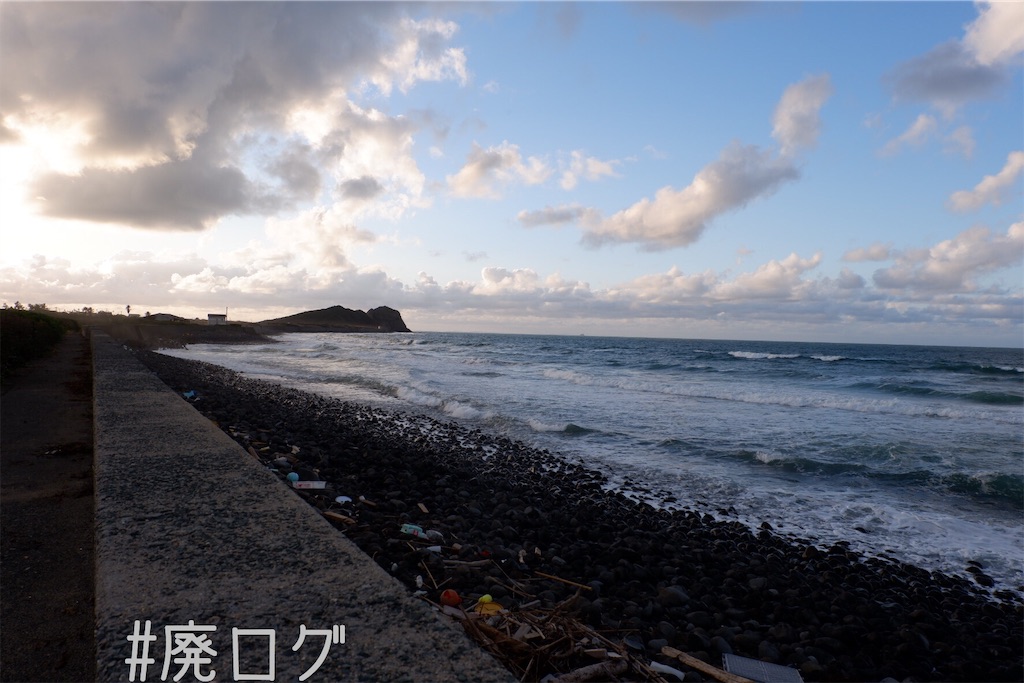 f:id:hiyapa:20191110200957j:image