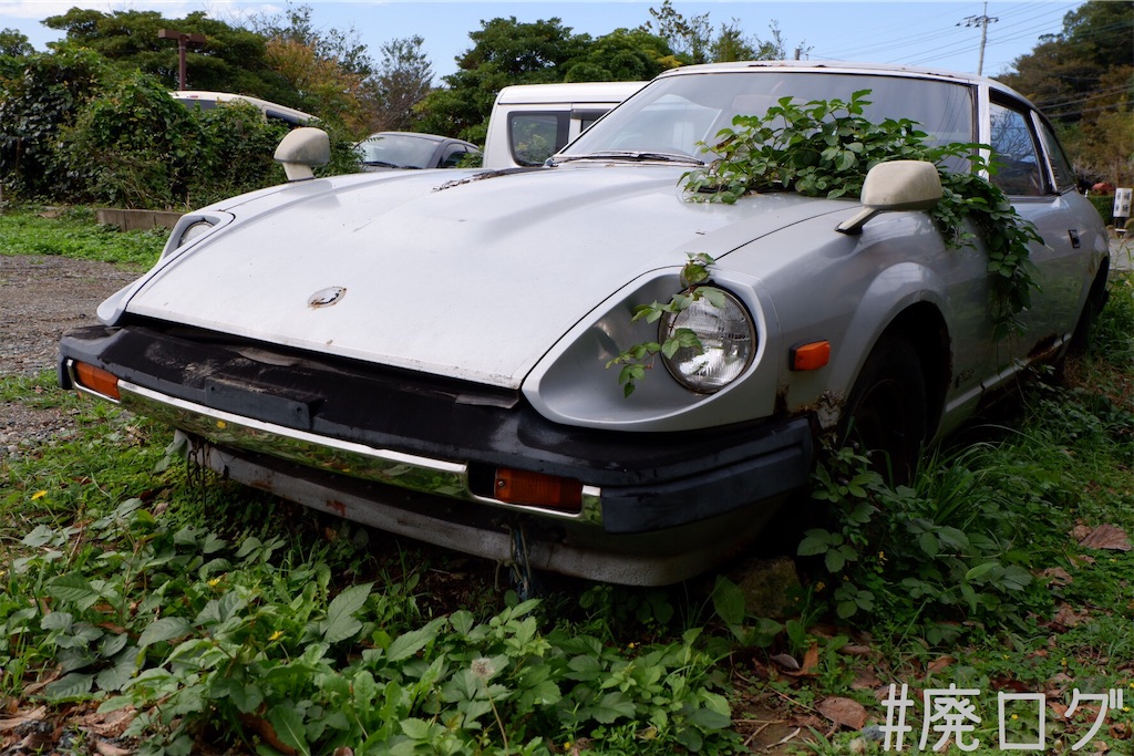 f:id:hiyapa:20191116154318j:image