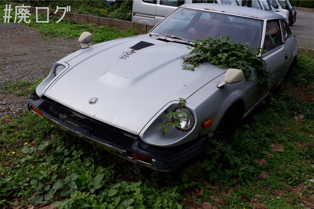 f:id:hiyapa:20191116154324j:image