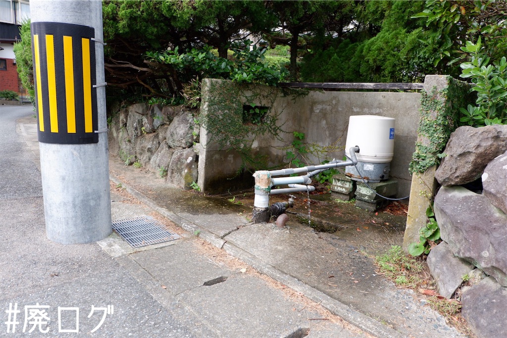 f:id:hiyapa:20191116154335j:image