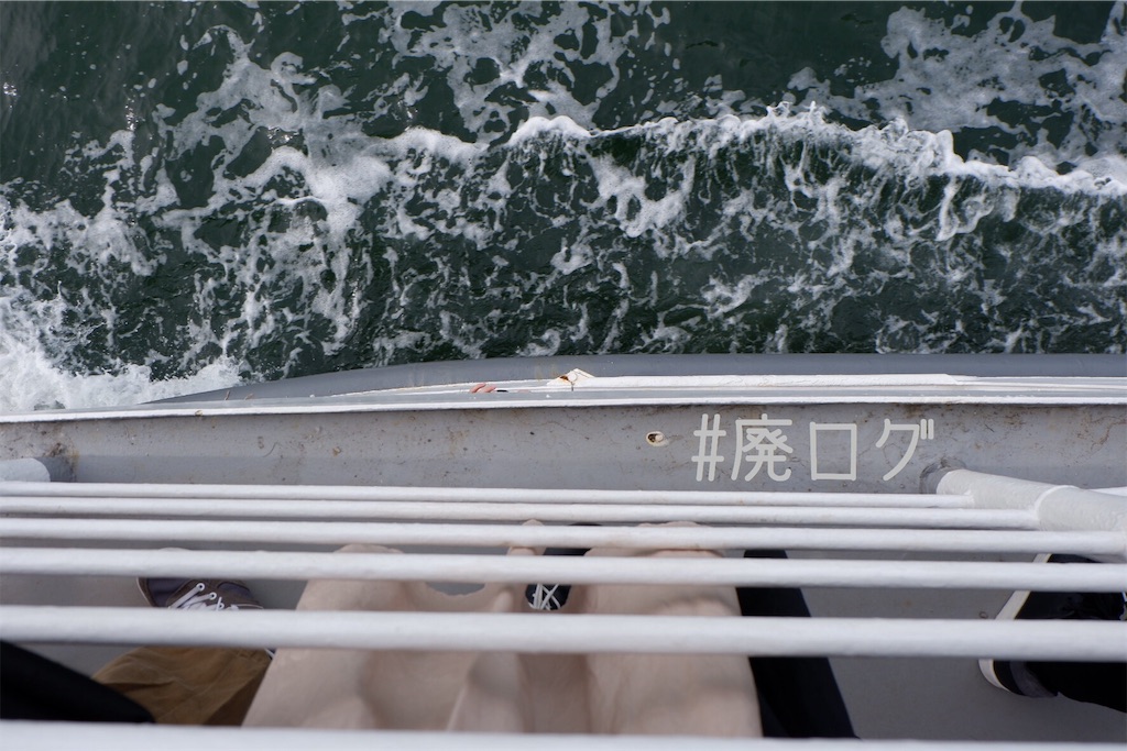 f:id:hiyapa:20191116155250j:image