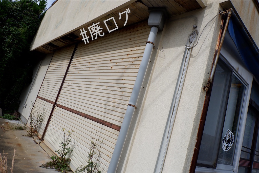 f:id:hiyapa:20191116161250j:image