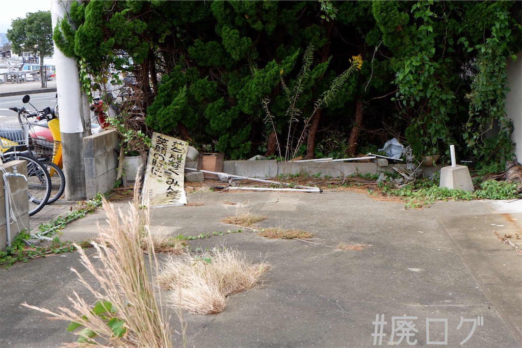 f:id:hiyapa:20191116161303j:image