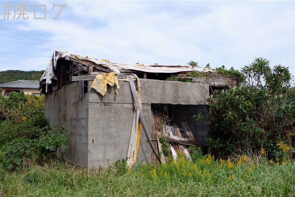 f:id:hiyapa:20191116162929j:image