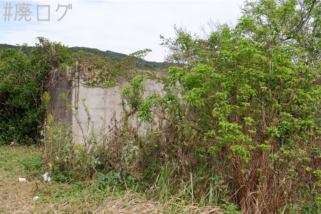 f:id:hiyapa:20191116162932j:image