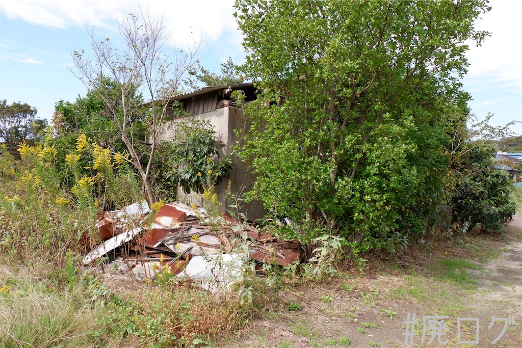 f:id:hiyapa:20191116162936j:image