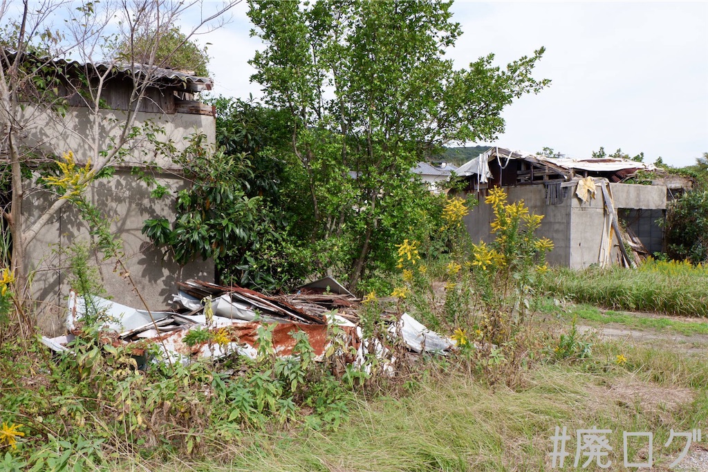 f:id:hiyapa:20191116162939j:image