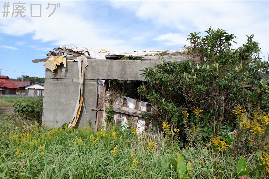 f:id:hiyapa:20191116162943j:image