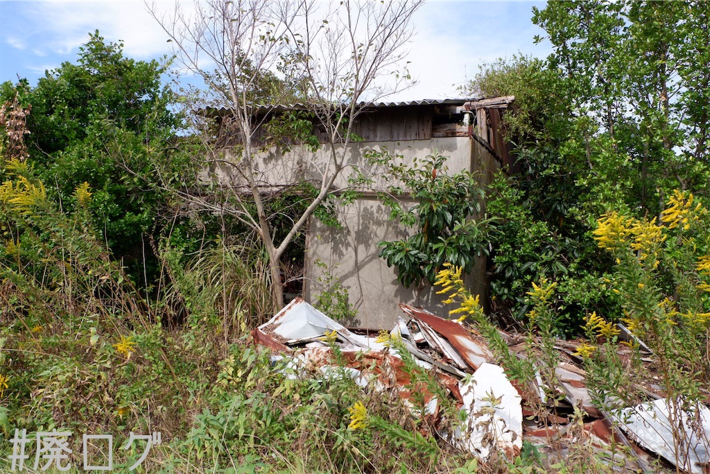 f:id:hiyapa:20191116162948j:image