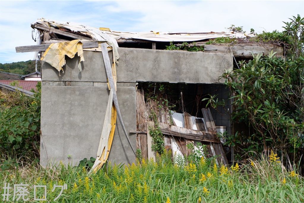 f:id:hiyapa:20191116162951j:image