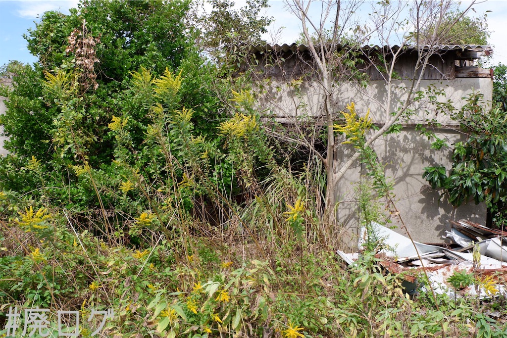 f:id:hiyapa:20191116162954j:image