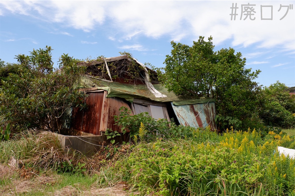 f:id:hiyapa:20191116162958j:image