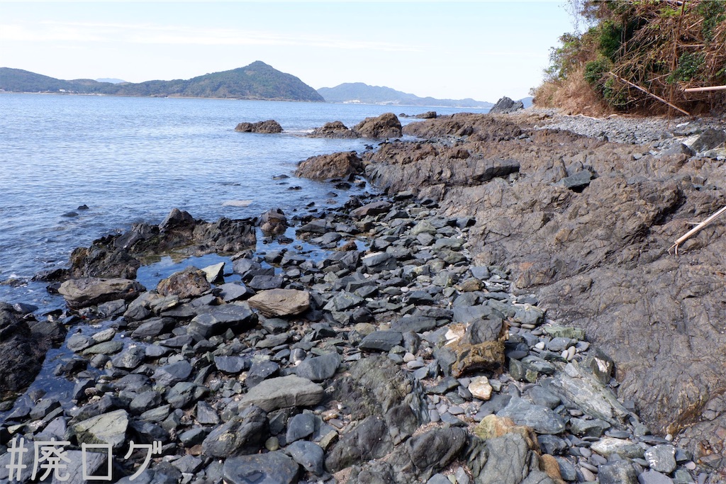 f:id:hiyapa:20191117164615j:image f:id:hiyapa:20191117164615j:image