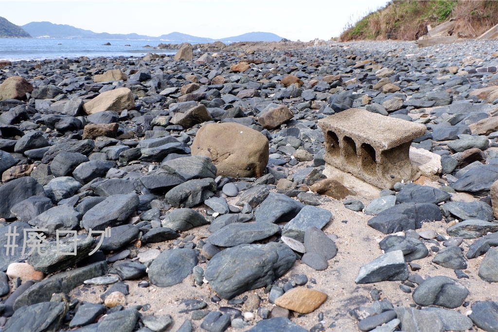 f:id:hiyapa:20191117164618j:image f:id:hiyapa:20191117164618j:image