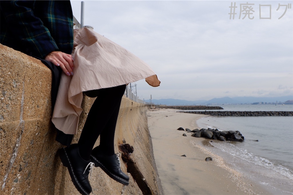 f:id:hiyapa:20191117164628j:image f:id:hiyapa:20191117164628j:image