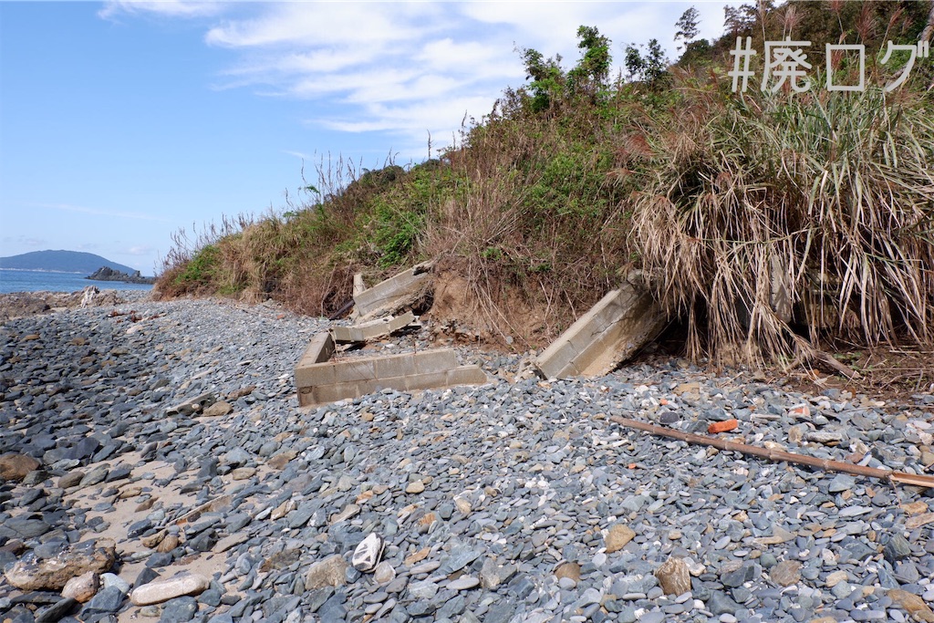 f:id:hiyapa:20191117164631j:image f:id:hiyapa:20191117164631j:image