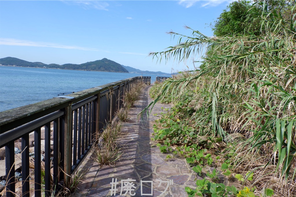 f:id:hiyapa:20191117164642j:image f:id:hiyapa:20191117164642j:image