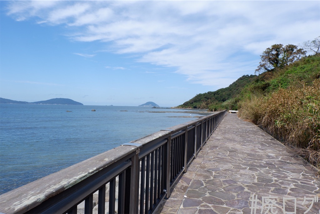 f:id:hiyapa:20191117164649j:image f:id:hiyapa:20191117164649j:image