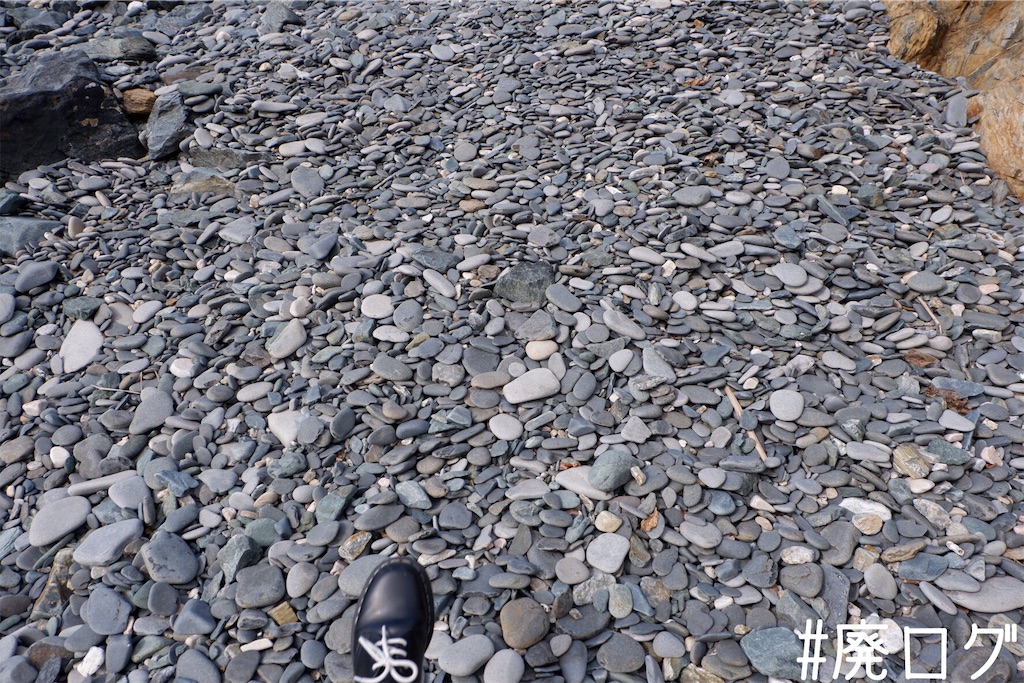 f:id:hiyapa:20191117164652j:image f:id:hiyapa:20191117164652j:image