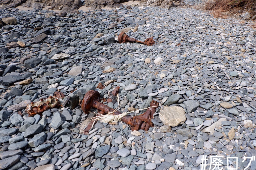 f:id:hiyapa:20191117164706j:image f:id:hiyapa:20191117164706j:image