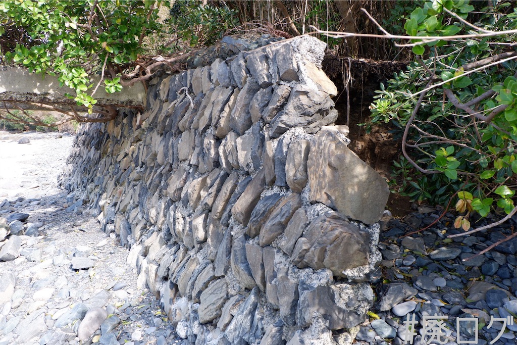 f:id:hiyapa:20191117165003j:image f:id:hiyapa:20191117165003j:image