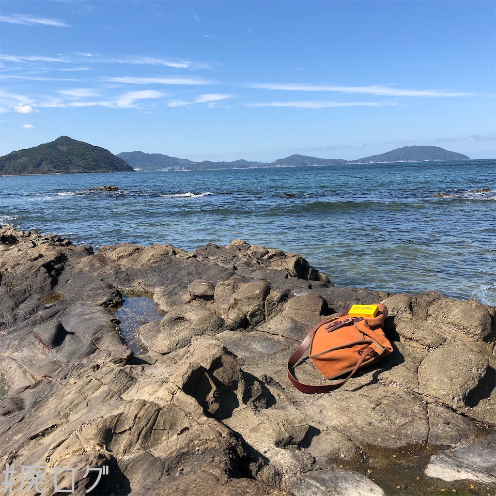 f:id:hiyapa:20191117165019j:image f:id:hiyapa:20191117165019j:image