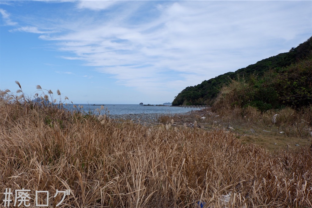 f:id:hiyapa:20191117165114j:image f:id:hiyapa:20191117165114j:image