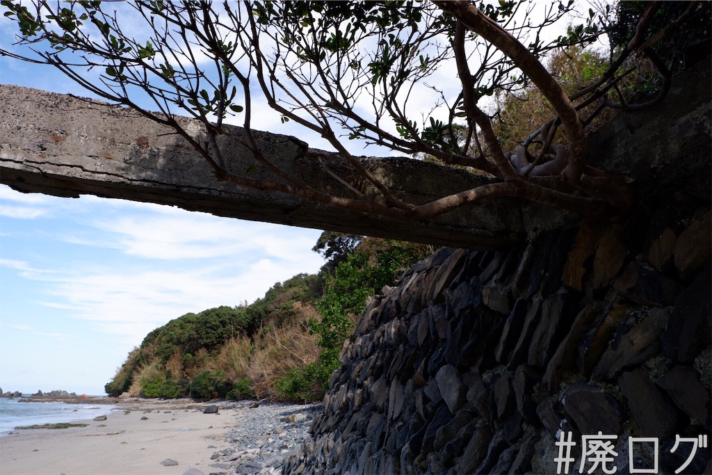 f:id:hiyapa:20191117165131j:image f:id:hiyapa:20191117165131j:image