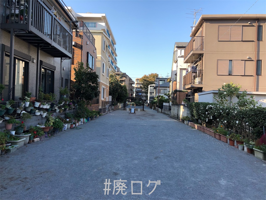 f:id:hiyapa:20191130193441j:image