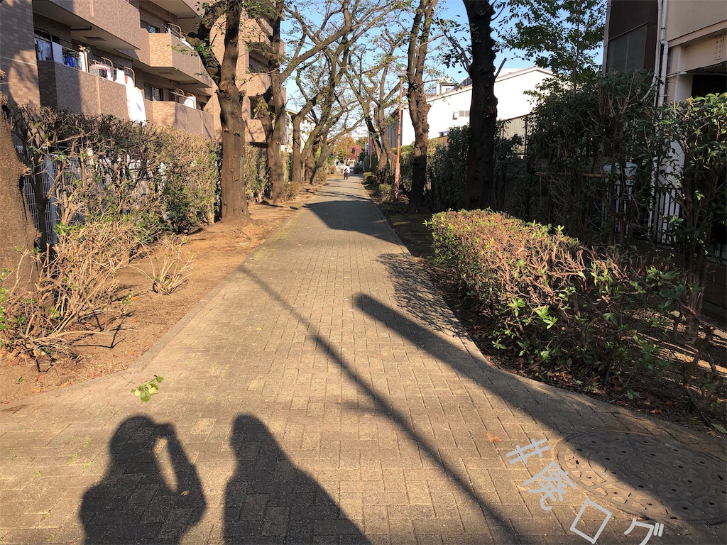 f:id:hiyapa:20191130193501j:image