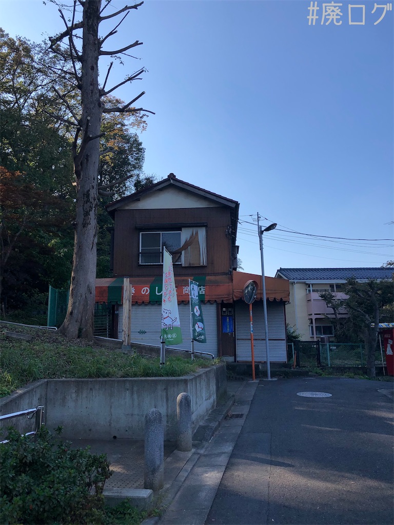 f:id:hiyapa:20191130194233j:image