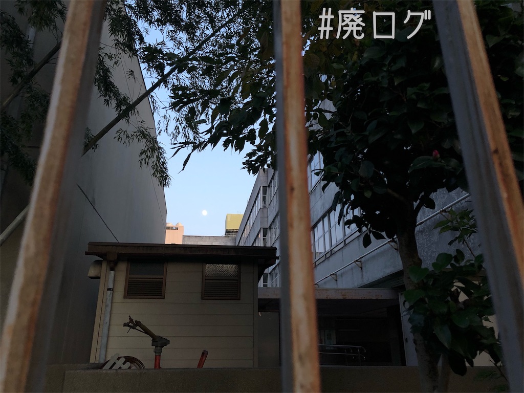 f:id:hiyapa:20191202232419j:image