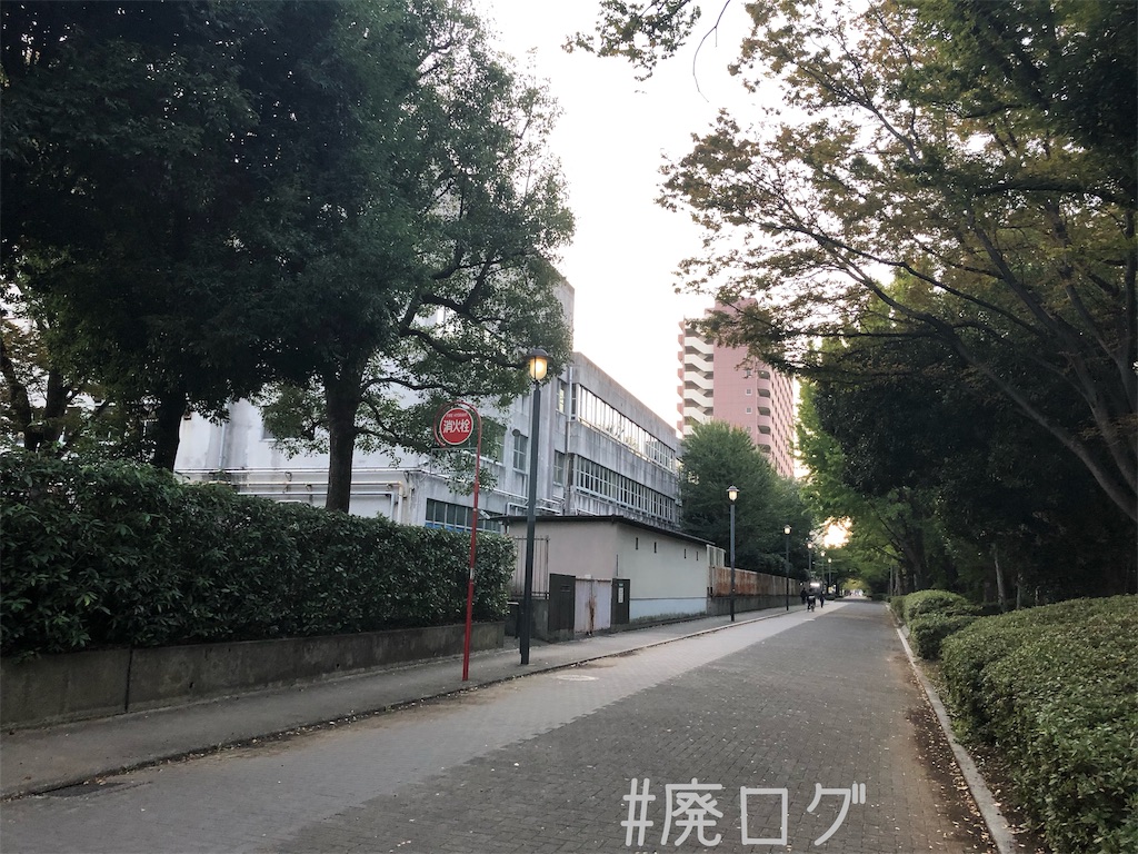 f:id:hiyapa:20191202232422j:image