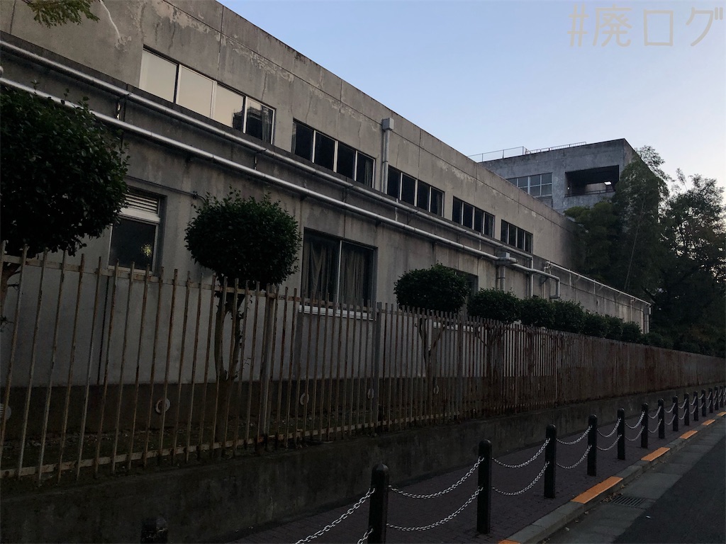 f:id:hiyapa:20191202232433j:image
