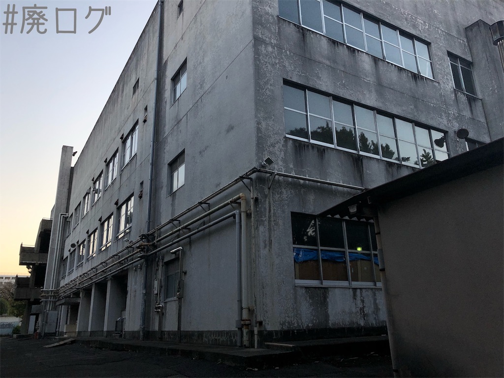 f:id:hiyapa:20191202232446j:image