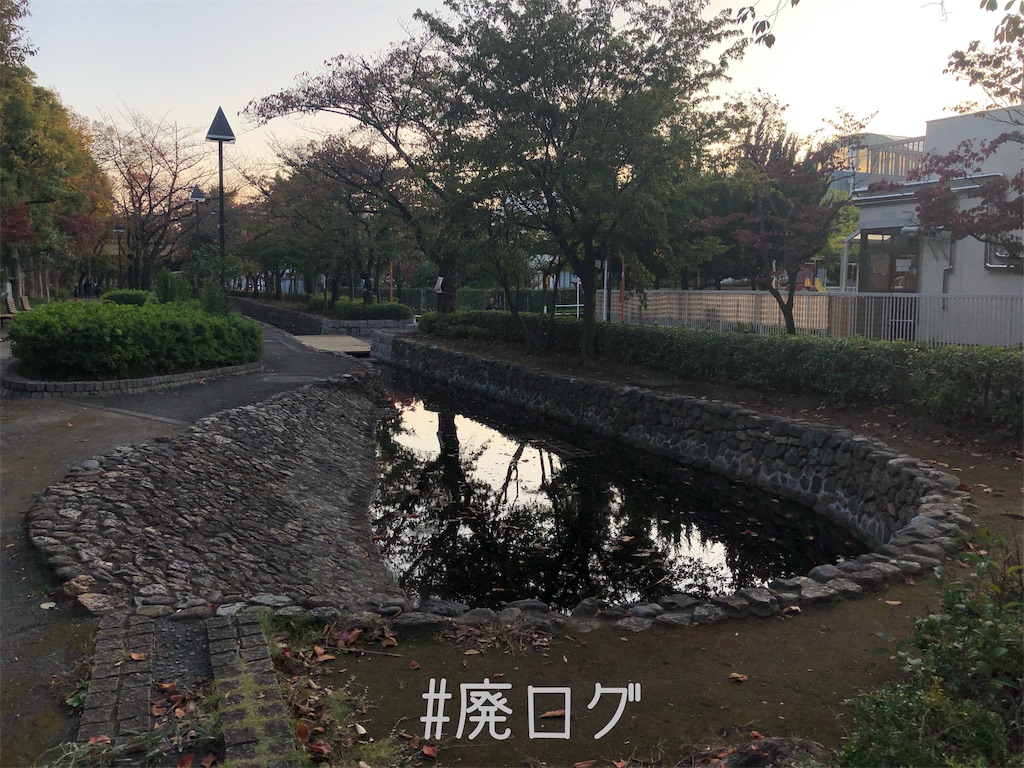 f:id:hiyapa:20191202232454j:image