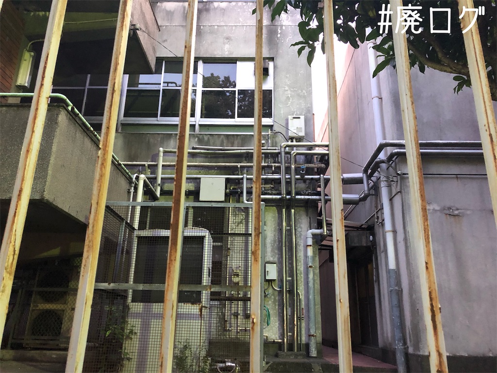 f:id:hiyapa:20191202232509j:image