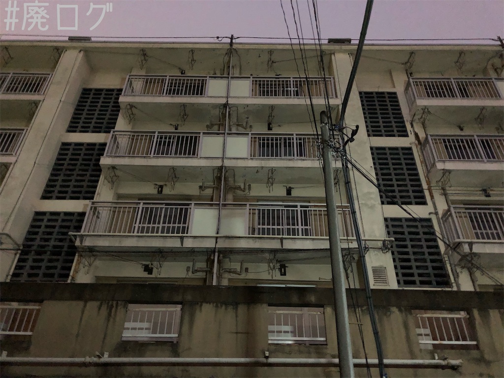 f:id:hiyapa:20191225195410j:image