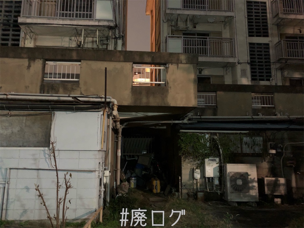f:id:hiyapa:20191225195433j:image