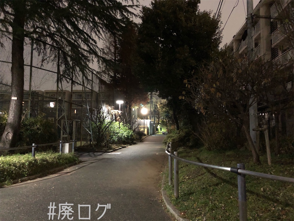 f:id:hiyapa:20191225195458j:image