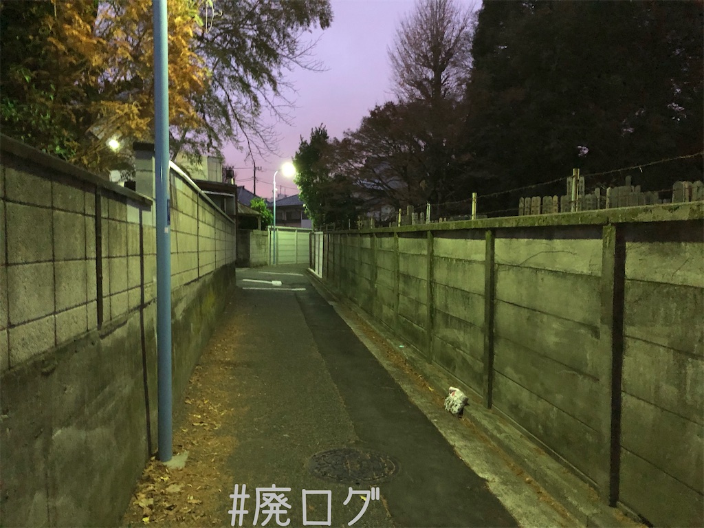 f:id:hiyapa:20191225195509j:image