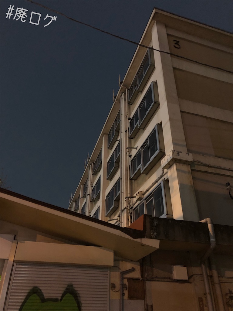 f:id:hiyapa:20191225195628j:image